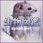 zukan.net oi[