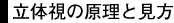 立体視の原理と見方