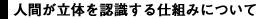 人間が立体を認識する仕組みについて