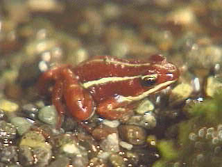 h060.jpg